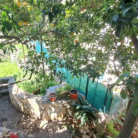 Morning Sunshine Apartman *