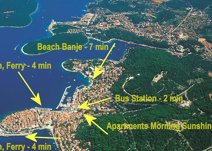 Morning Sunshine קורצולה